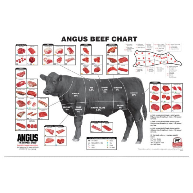 Angus Beef Cut Chart (small) – Angus Supply Store