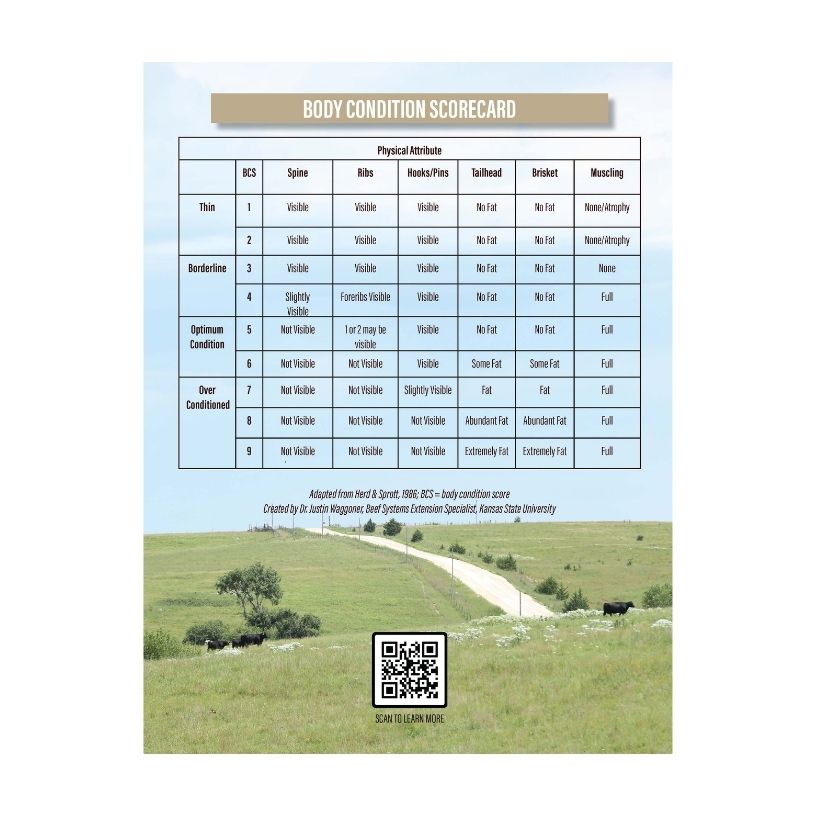 Body Condition Score Guideline