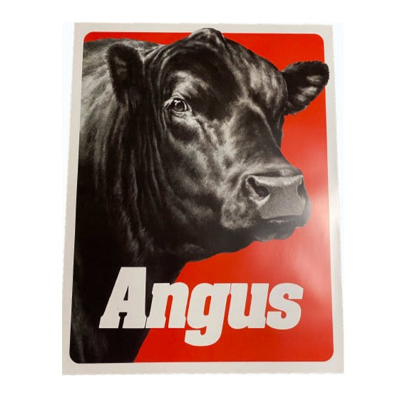 Angus Bull Head Poster