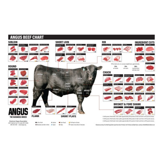 Angus Beef Cut Chart (Large) – Angus Supply Store