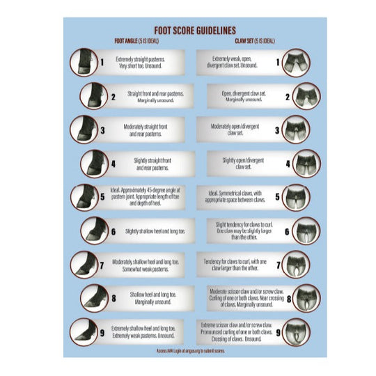 Footscore Guidlines