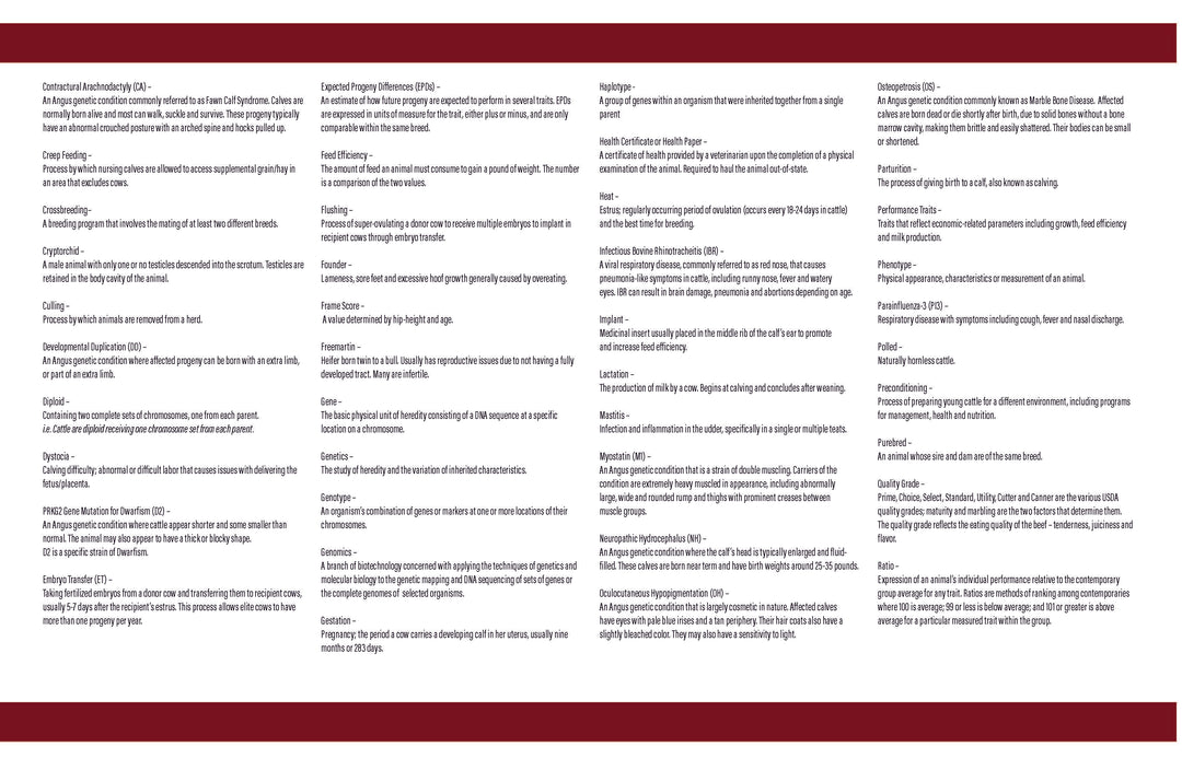 Glossary & Definitions