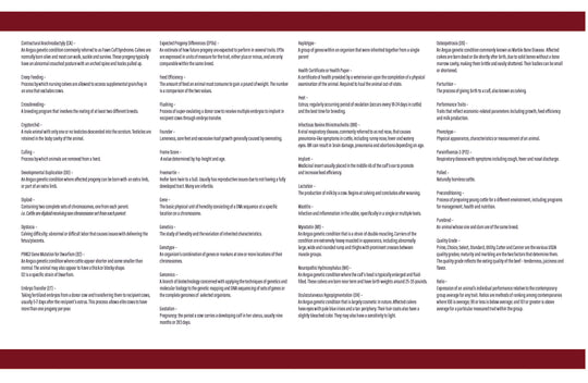 Glossary & Definitions