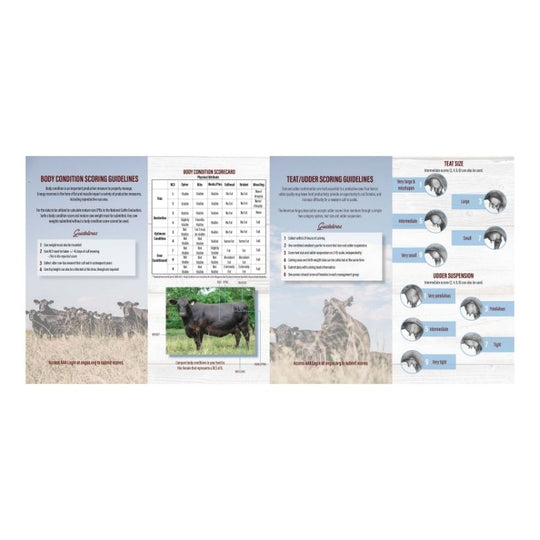 AHIR® Pocket Scoring Guide