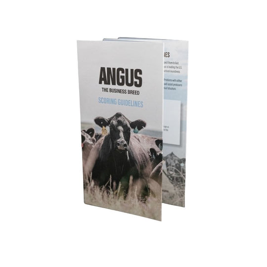 AHIR® Pocket Scoring Guide