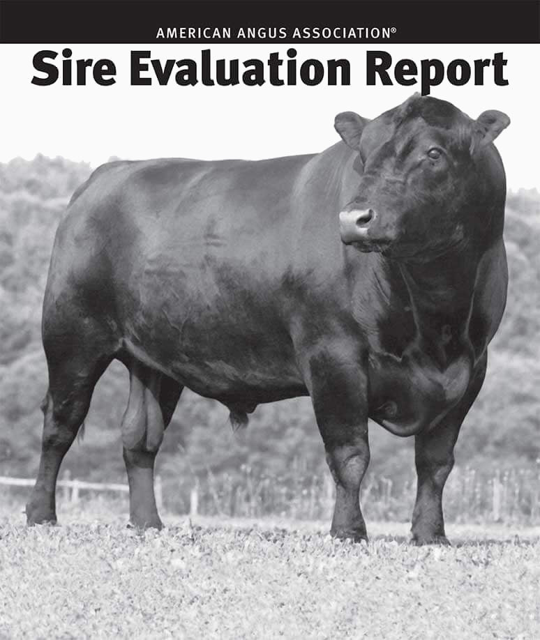 2024 Spring Sire Evaluation Report