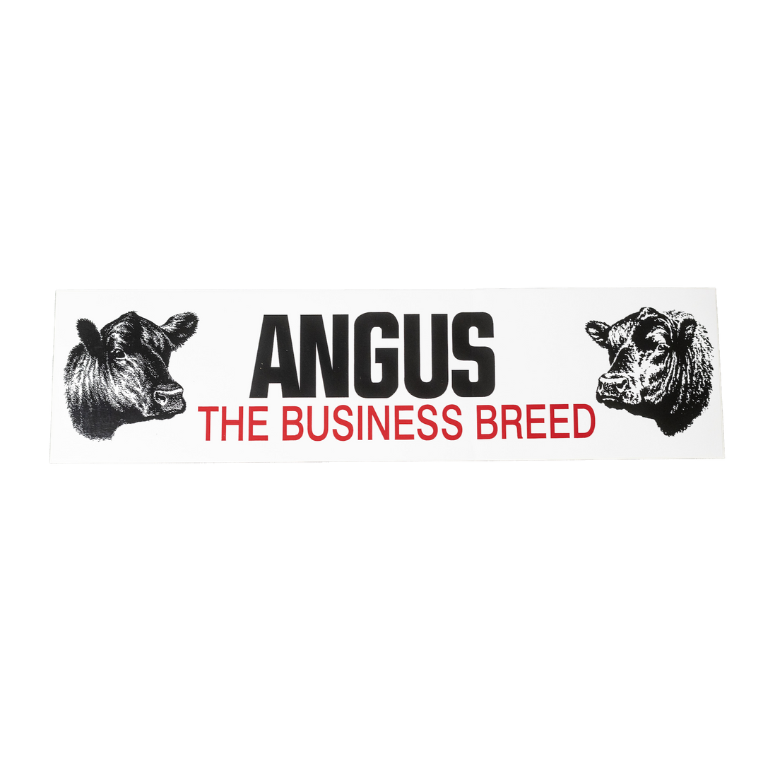 Angus Bumper Sticker