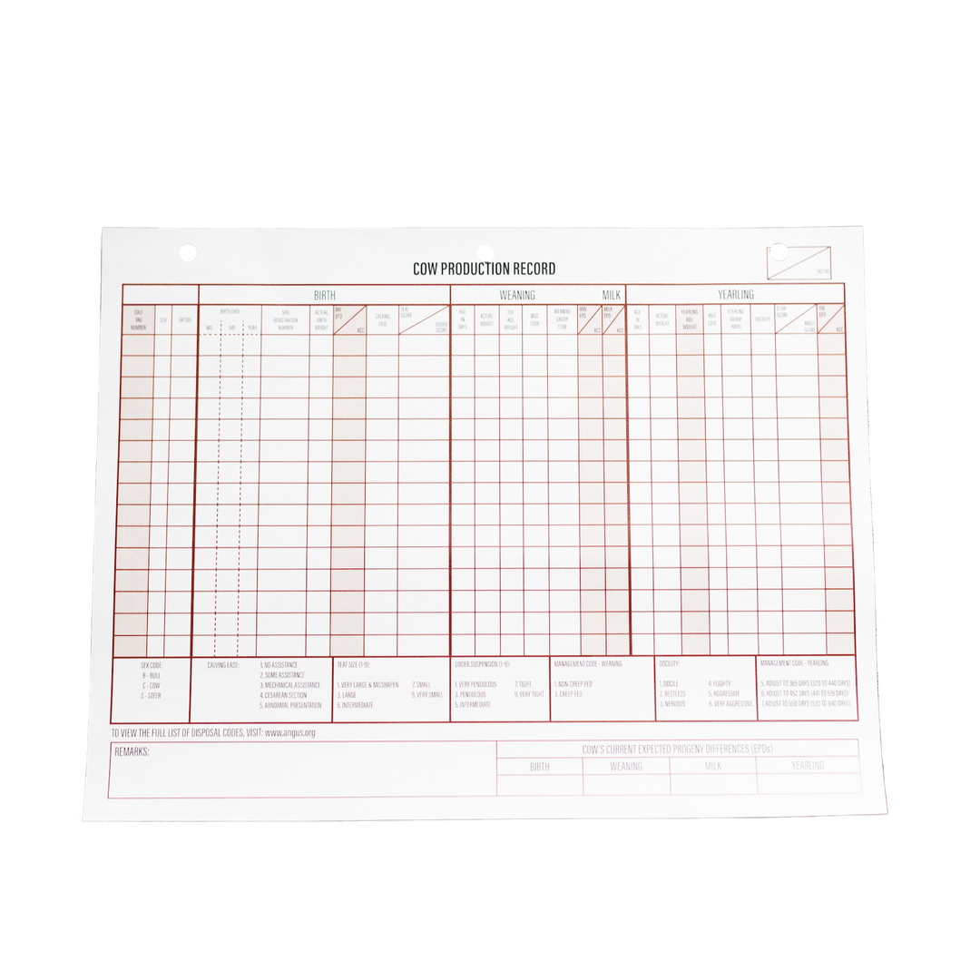 Check Record Production Cow Production Record Sheet Set (Set of 12) – Angus Supply Store