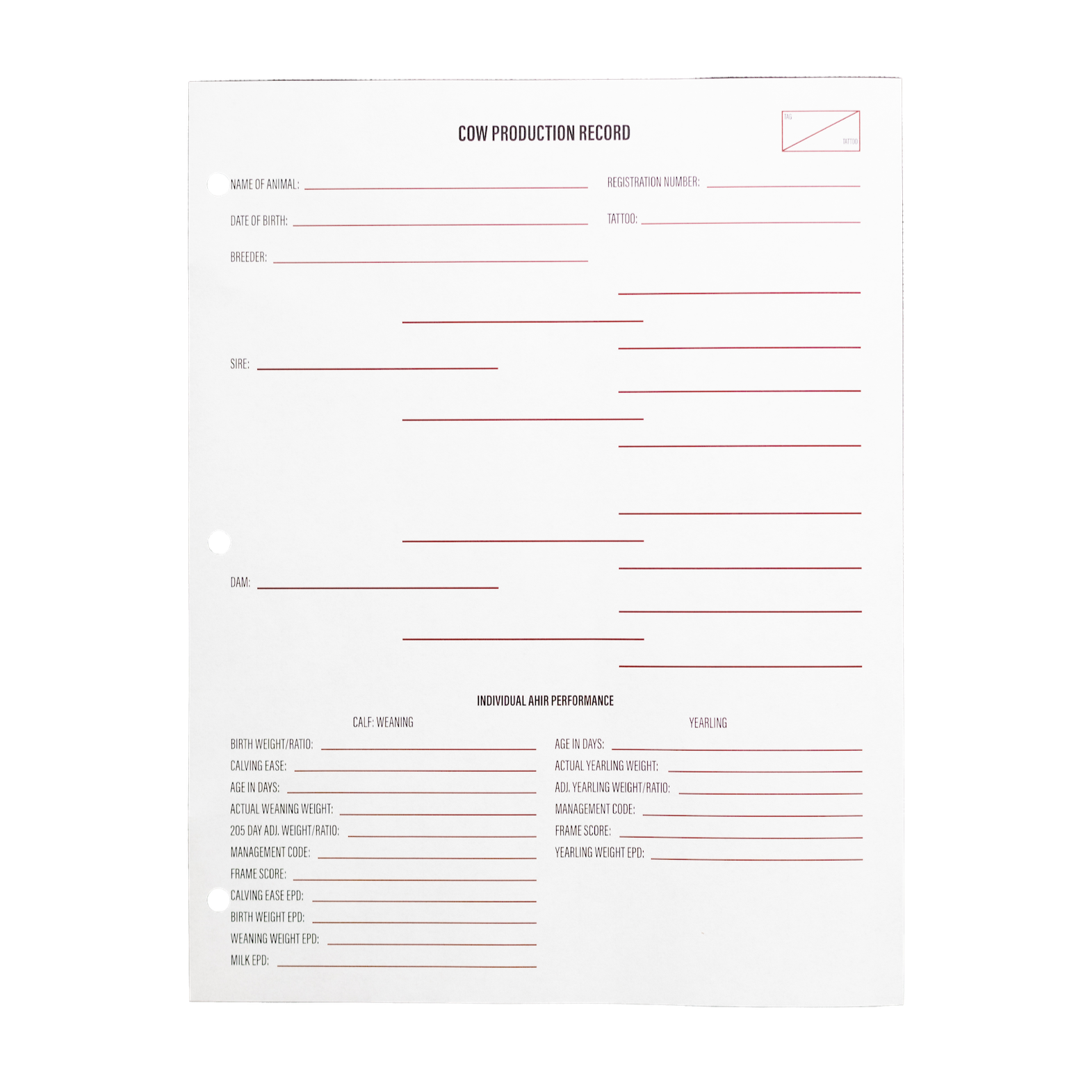 Check Record Production Cow Production Record Sheet Set (Set of 12) – Angus Supply Store
